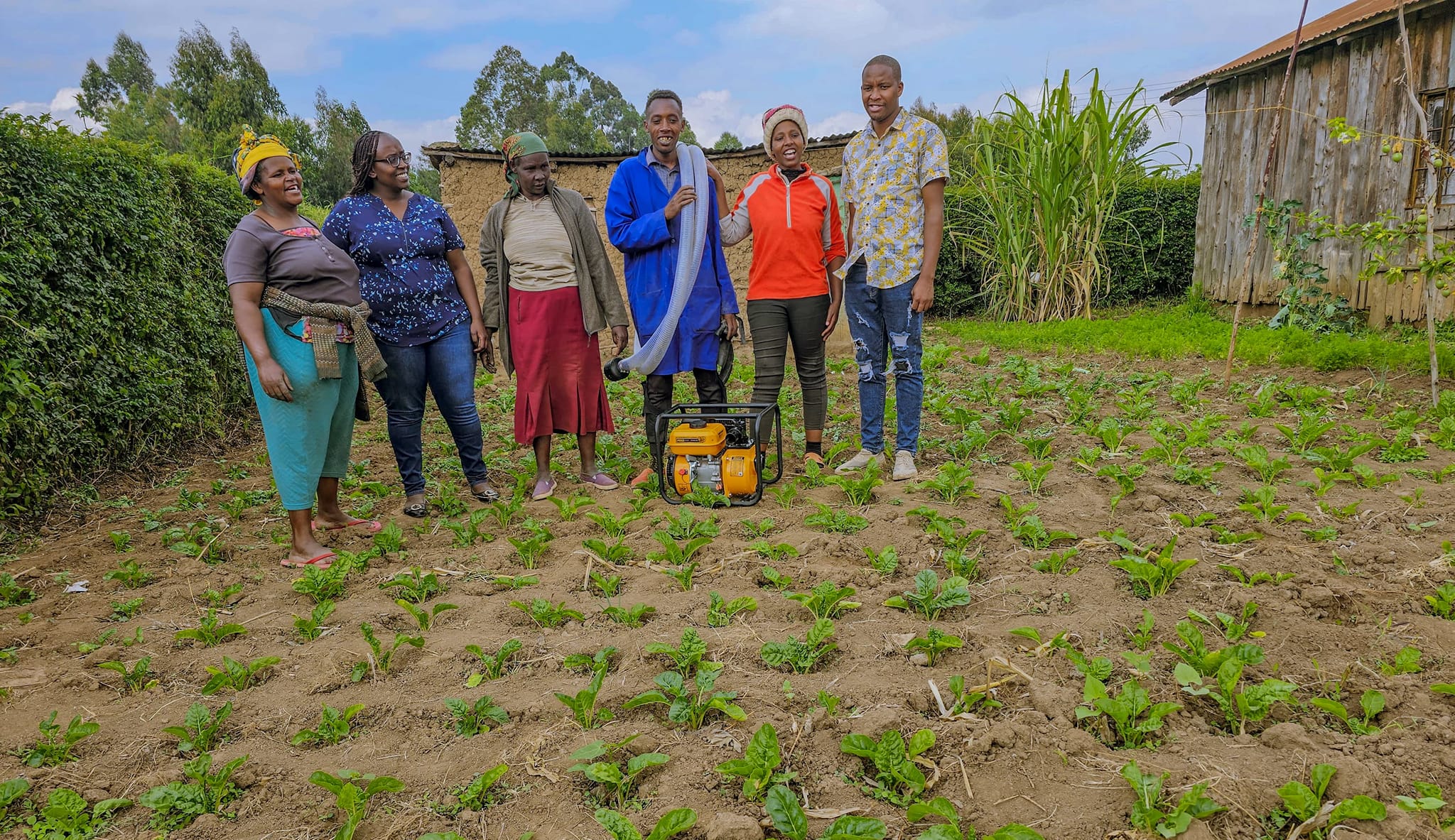 Youth Economic Support Mashinani